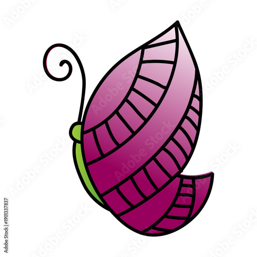 Decorated wing butterfly