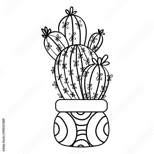 Multiple cactus pot drawing silhouette
