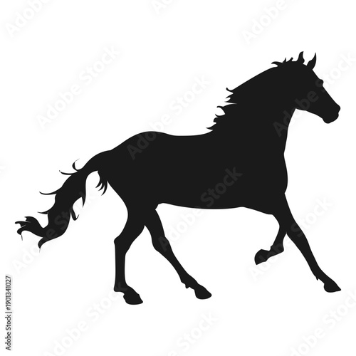 Horse running 4