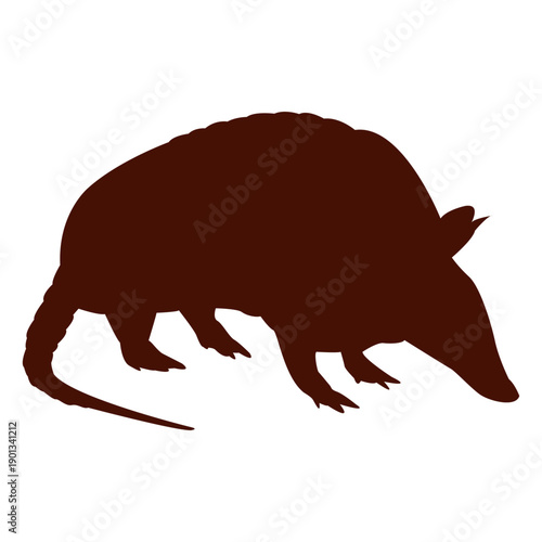 Armadillo silhouette