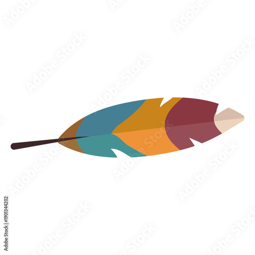 Colorful bird feather