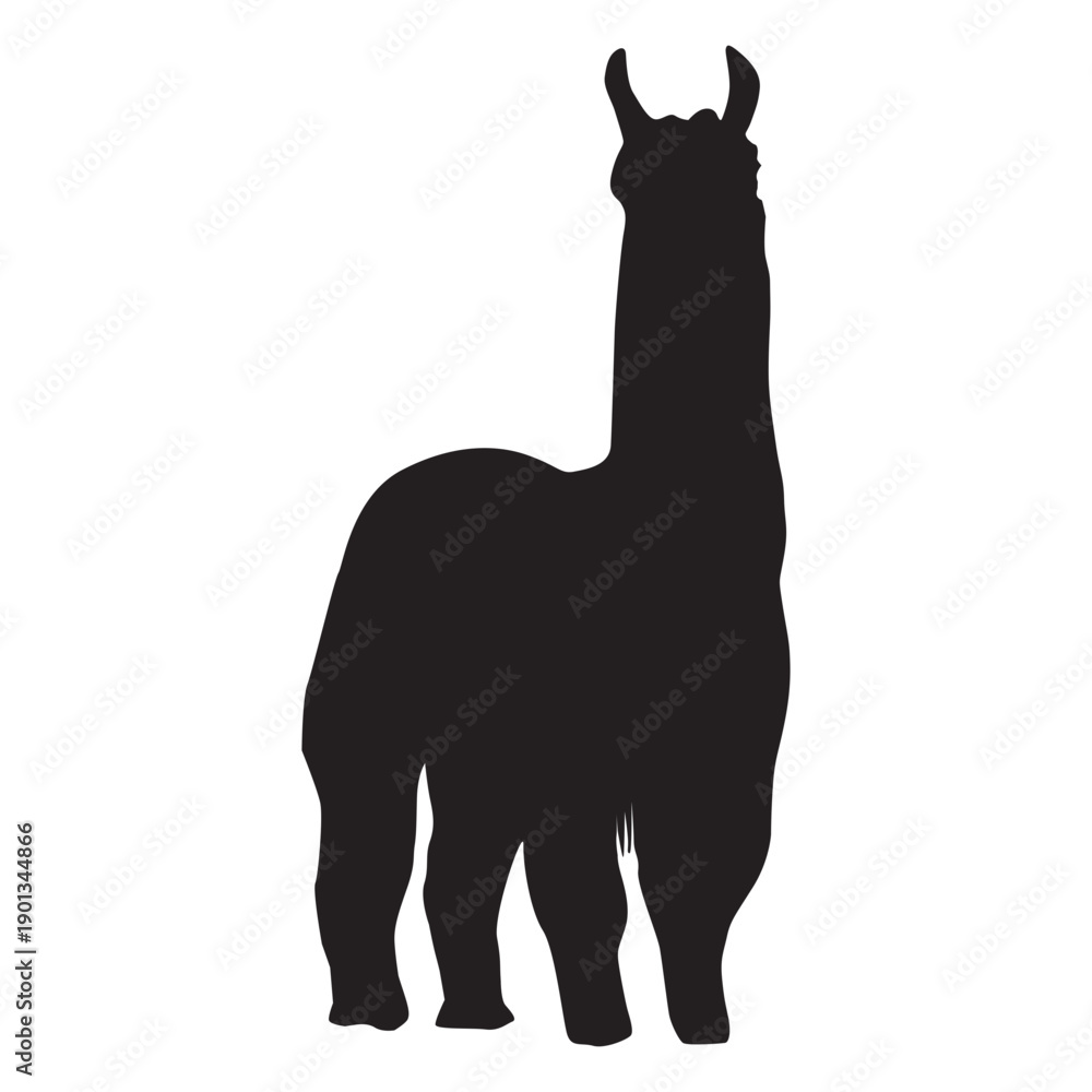 Fototapeta premium Isolated llama standing silhouette
