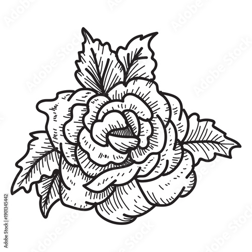 Blooming rose head sketch icon flower