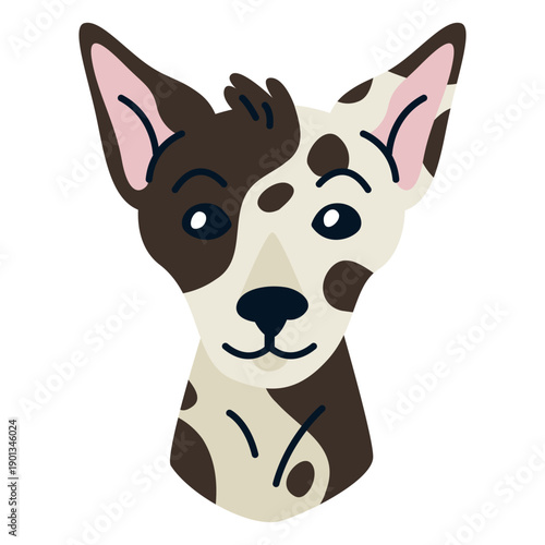 Inca orchid illustration