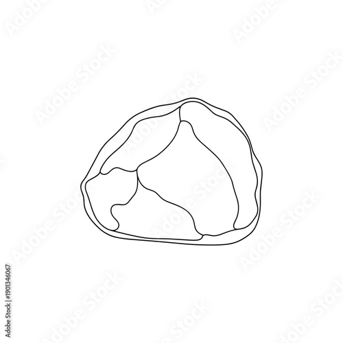 Hand drawn vector illustration of a seal in a circle with cream and white colors and 3D icon style