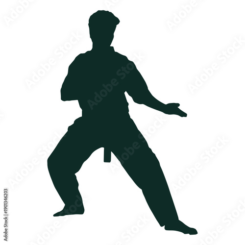 Karate stance kata