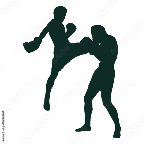 Kickboxing flying knee fighting
