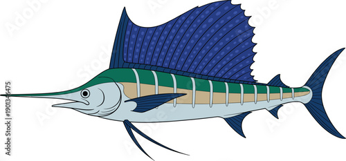 Sailfish illustration in realistic vector style. Side view marine fish with large dorsal fin and sharp bill. Ocean wildlife artwork for fishing, seafood and nature designs.