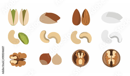 Modern minimalist nuts symbol set vector illustration for food branding and nutrition designs