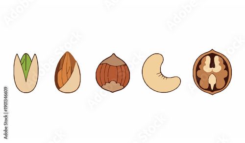 Flat vector nuts icon set with almond, pistachio, cashew, hazelnut, and walnut isolated on white background