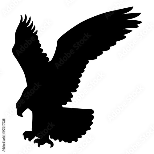 Eagle catching silhouette