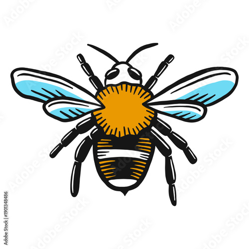 Bee leg wasp wing sketch insect