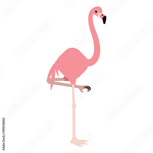 Flamingo leg beak pink rounded flat