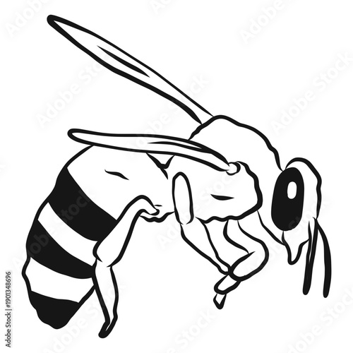Bee stripe wing wasp sketch