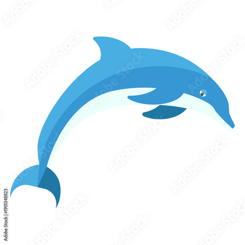 Dolphin flipper tail swimming flat