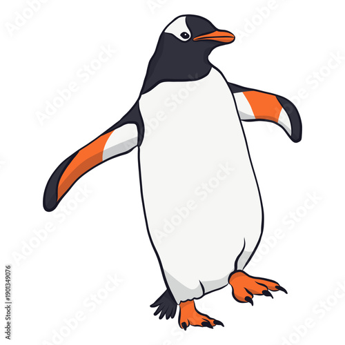 Penguin wing beak illustration