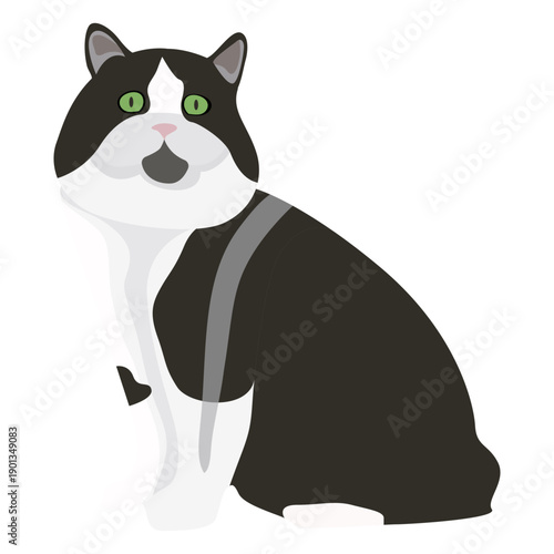 Cymric cat illustration