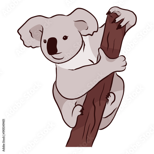 Photography Branch ear koala leg nose illustration