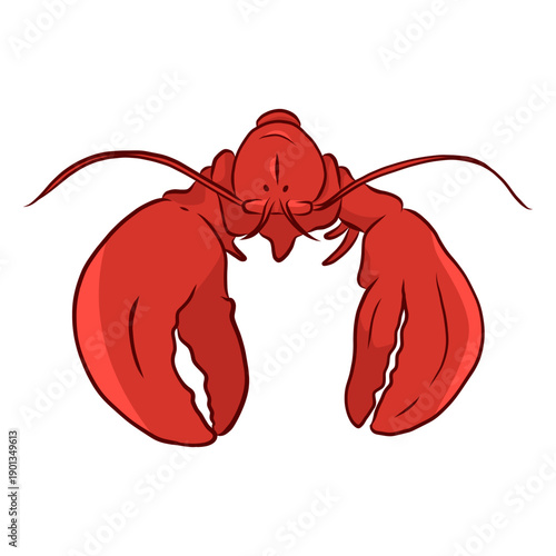 Antenna lobster claw illustration