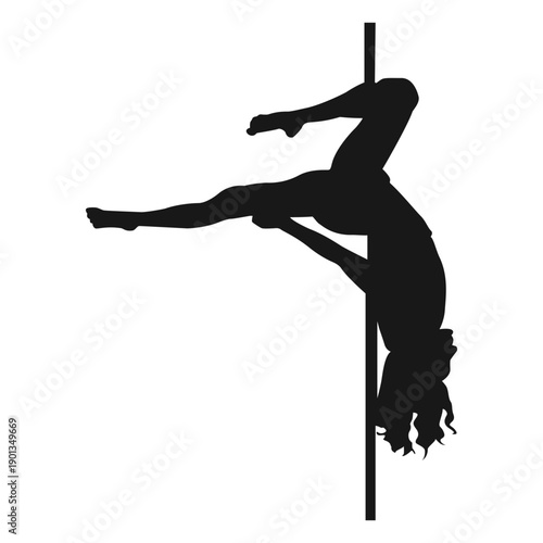 Gemini pole dance silhouette