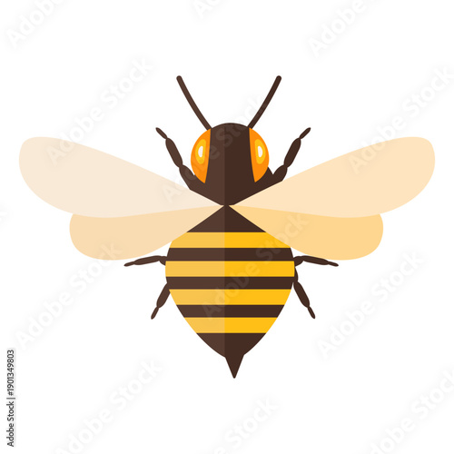 Bee stripe sting wing wasp flat