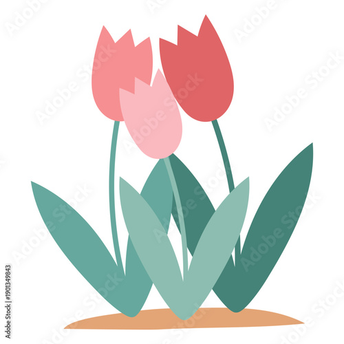 Tulip flowers element