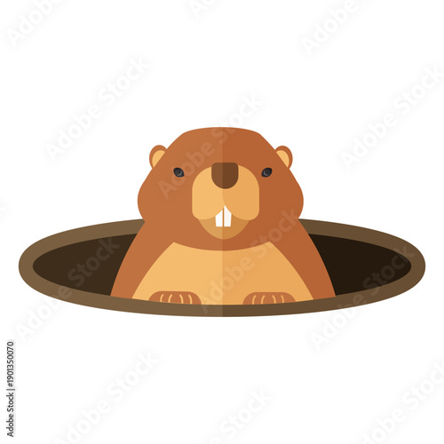 Ground hog marmot muzzle hole fur flat