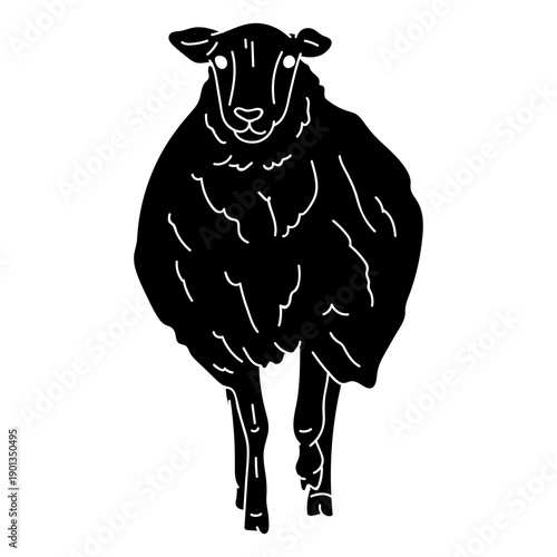 Sheep lamb hoof wool ear detailed silhouette animal