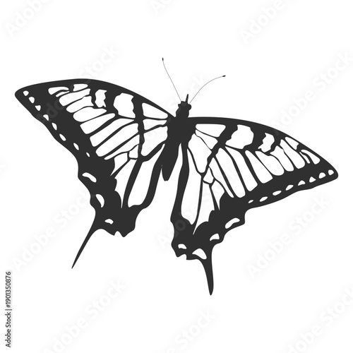 Photography Tiger swallowtail butterfly silhouette