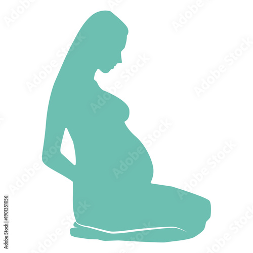 Woman pregnancy belly silhouette