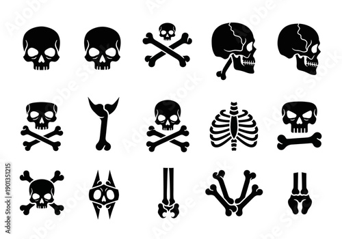 Black silhouettes of skulls and various bones arranged in three rows on a white background