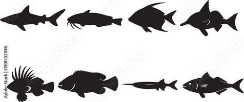 Diverse Set of 8 Fish Silhouettes Vector Collection: Featuring Shark, Catfish, Tropical, and Freshwater Species Icons for Fishing, Aquaculture, Wildlife, and Marine Design Projects