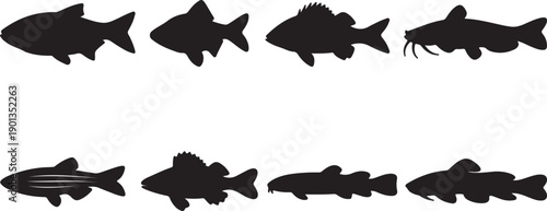 Diverse Set of 8 Fish Silhouettes Vector Collection: Including Catfish, Bass, Trout, and Common Freshwater Species Icons for Fishing, Wildlife, and Aquatic Design Projects