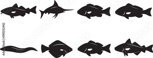 Marine and Freshwater Fish Silhouette Set – Black Aquatic Animal Icons Collection