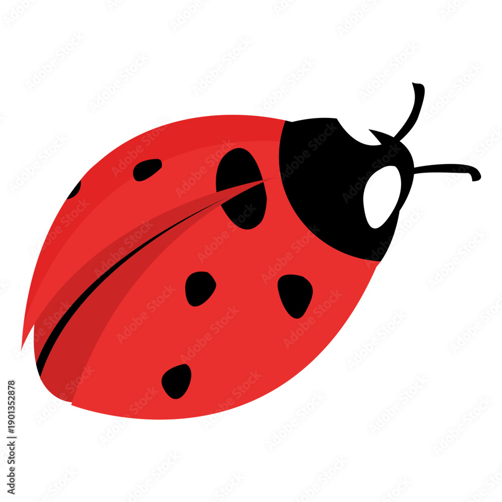 Fototapeta premium Flat ladybug image