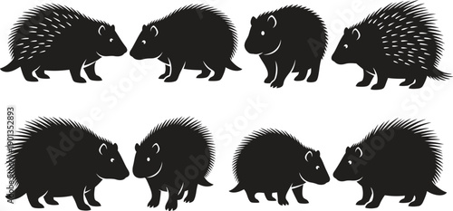 Silhouette of porcupines in various poses and angles black on white background