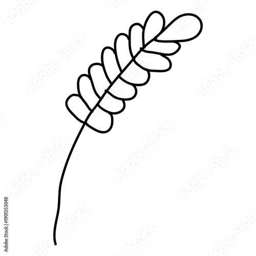 Leaf vein stem stalk hand drawn line