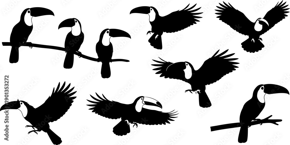 Fototapeta premium Silhouette of toucans in various poses black birds on white background
