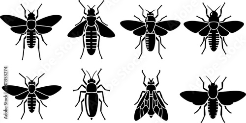 Silhouette of various insects in black on white background