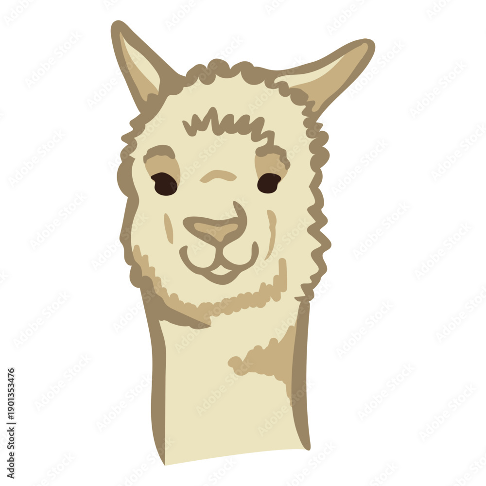 Fototapeta premium Llama cute face