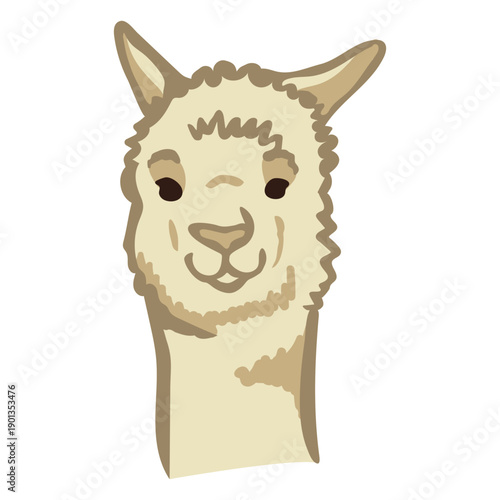 Llama cute face