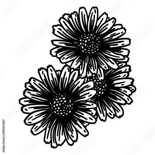 Petal flower gynoecium stroke