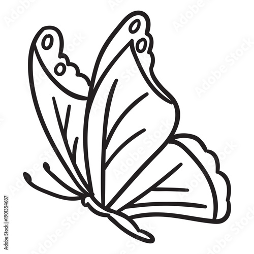 Butterfly stroke sideview