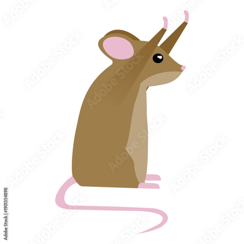 Mouse posture tail flat