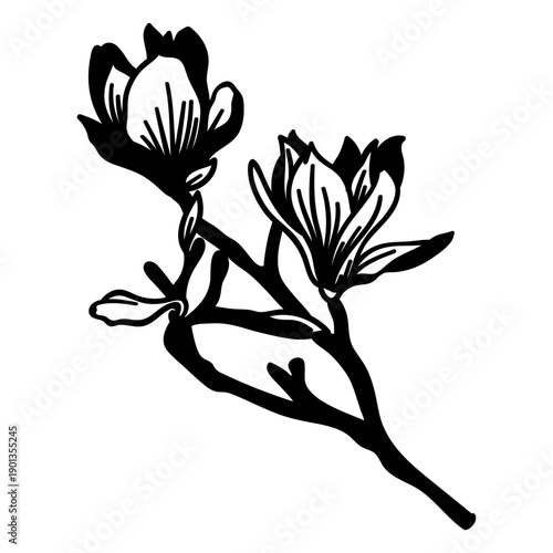 Stem stalk flower petal silhouette detailed