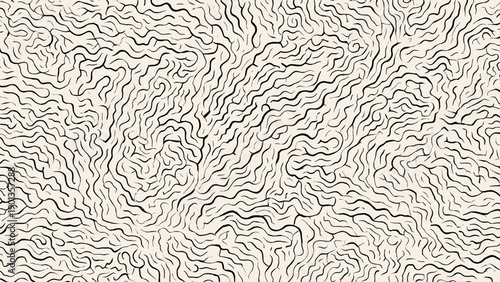 Abstract Topographic Map with Contour Lines.