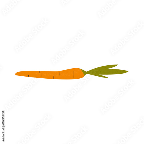Carrot textured illustration