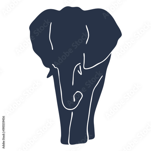 Elephant front view
