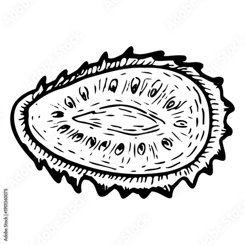 Soursop fruit halves top view, hand drawn ink sketch isolated on transparent background. Guanabana fruit ouline.