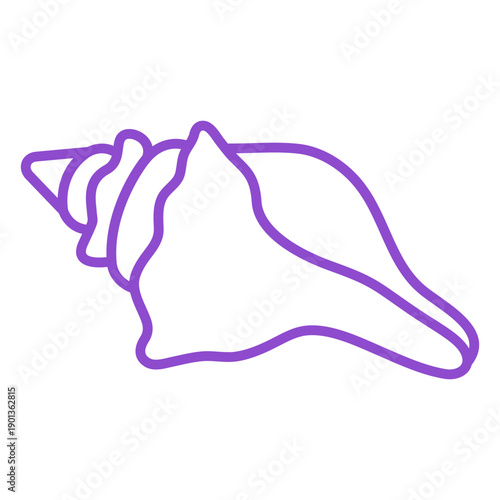 Knobbed whelk seashell stroke